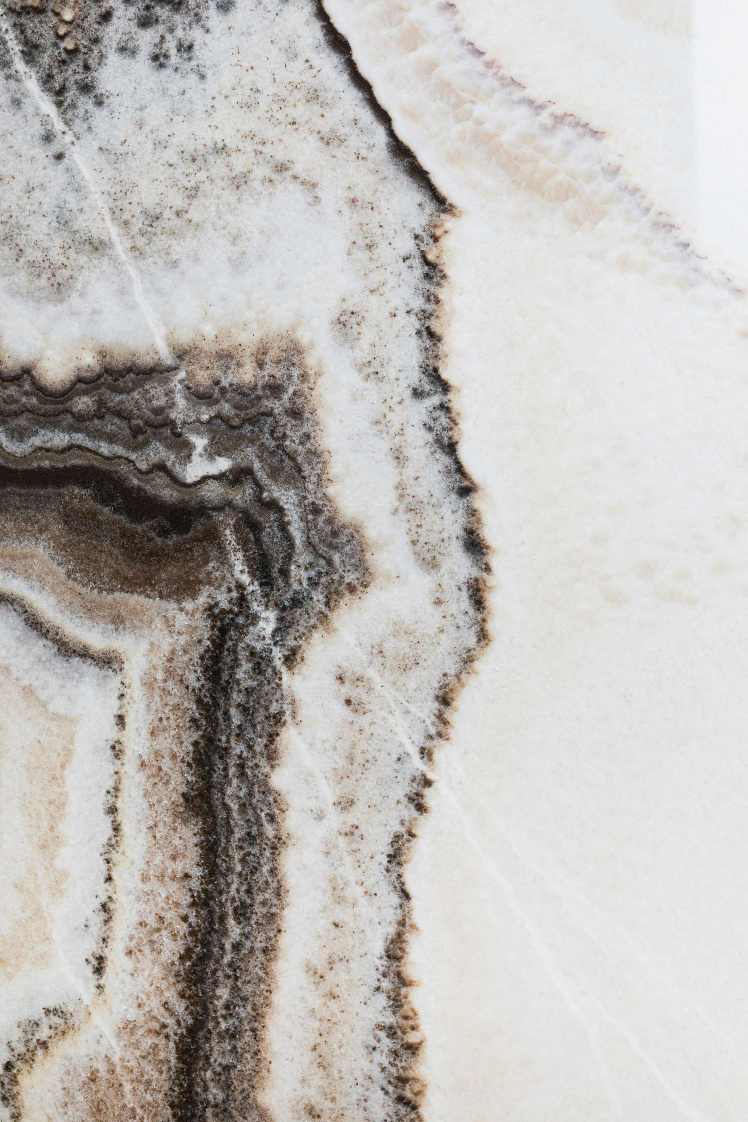 Estate Litigation in Calgary: Challenging a Will, Removing an Executor, and Protecting Beneficiary Rights